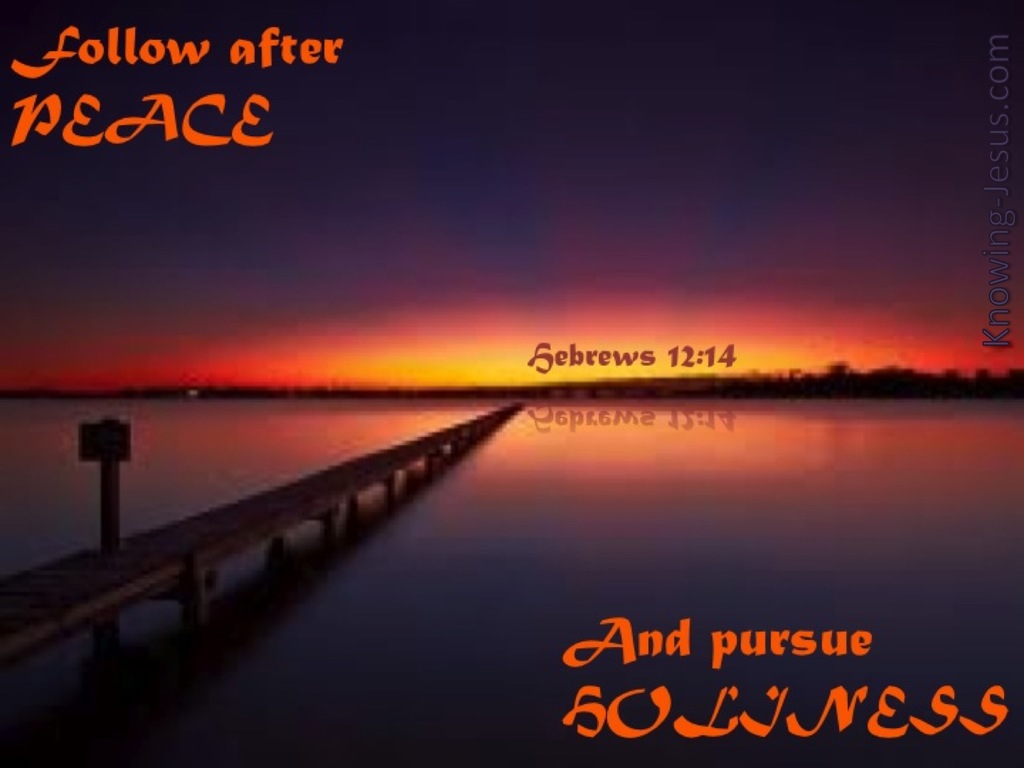 Hebrews 12:14 Follow After Peace (orange)